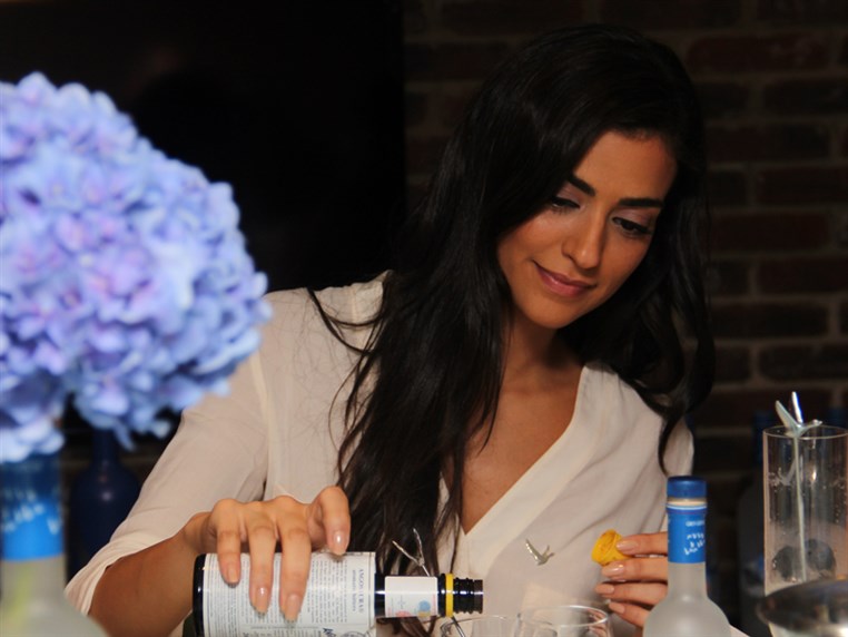 Grey Goose Taste By Appointment